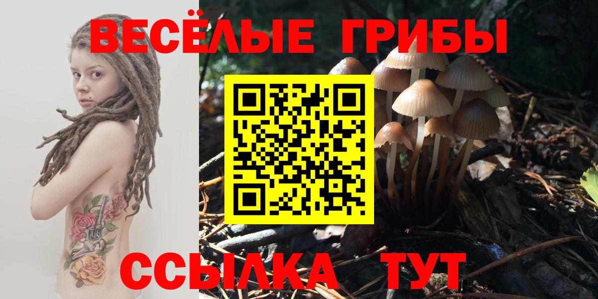 Галлюциногенные грибы MAGIC MUSHROOMS Домодедово